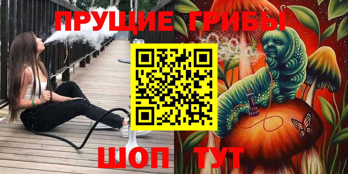Галлюциногенные грибы Psilocybe  Вход с VPN  Белово 