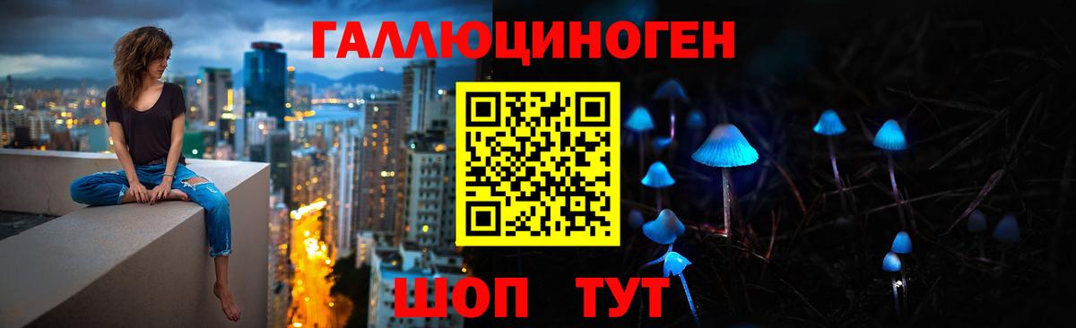 Галлюциногенные грибы Psilocybine cubensis Белово